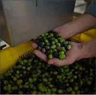 AGRUPACIÓN ÓRDENES COMPRAS