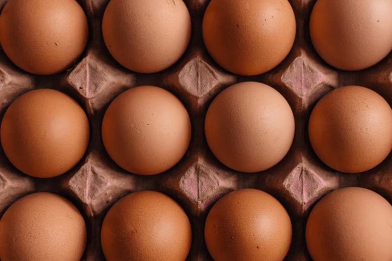 Our solution for the <strong>poultry industry</strong>