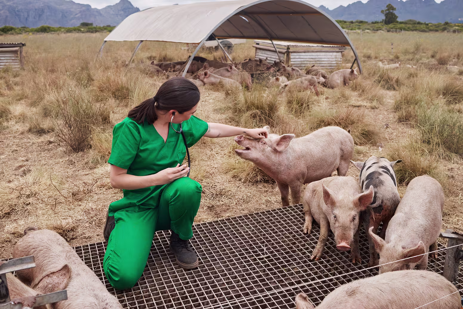 Our solution for the <strong>animal care industry</strong>